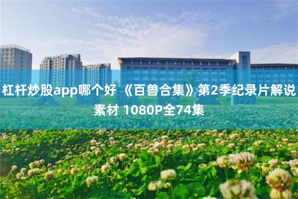 杠杆炒股app哪个好 《百兽合集》第2季纪录片解说素材 1080P全74集