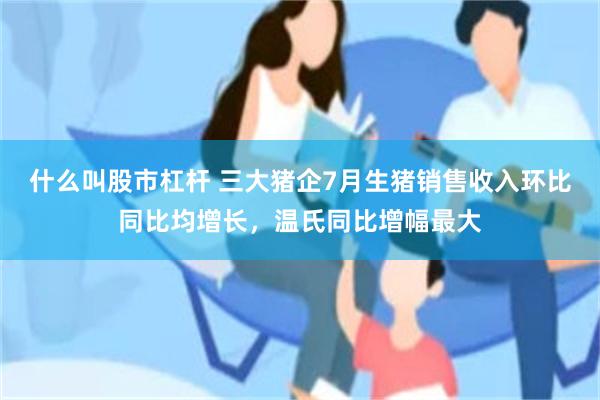 什么叫股市杠杆 三大猪企7月生猪销售收入环比同比均增长，温氏同比增幅最大