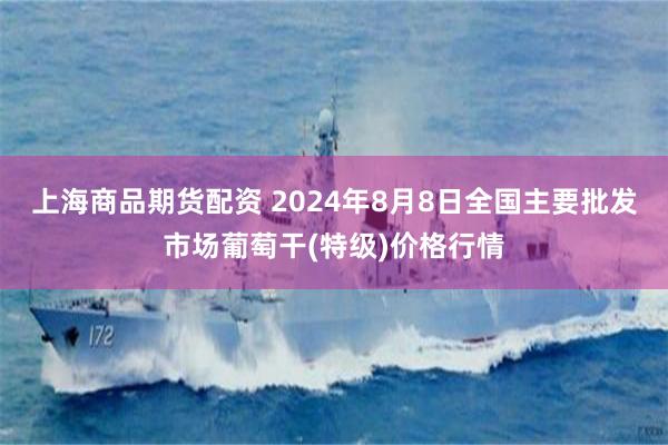 上海商品期货配资 2024年8月8日全国主要批发市场葡萄干(特级)价格行情