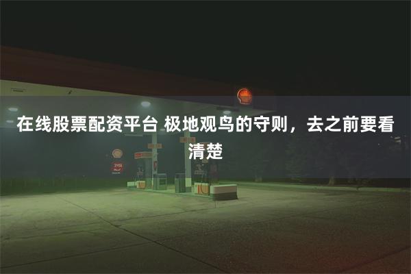 在线股票配资平台 极地观鸟的守则，去之前要看清楚