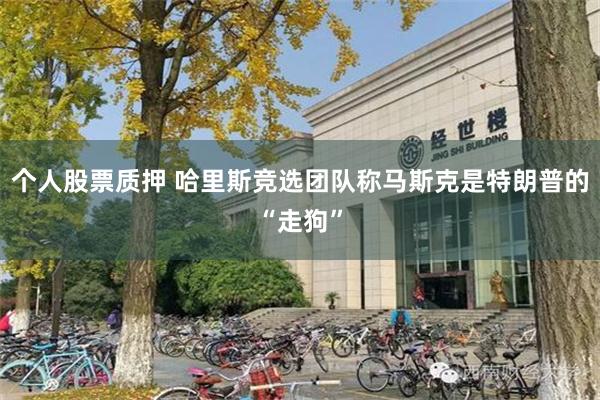 个人股票质押 哈里斯竞选团队称马斯克是特朗普的“走狗”