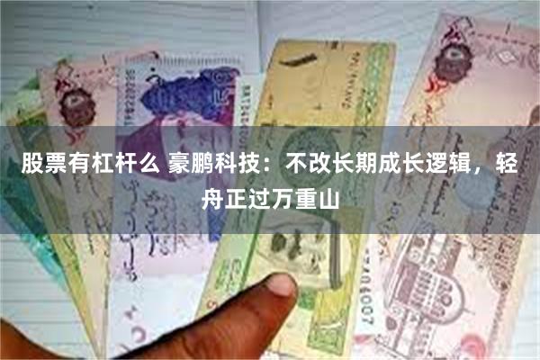 股票有杠杆么 豪鹏科技：不改长期成长逻辑，轻舟正过万重山