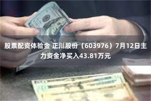 股票配资体验金 正川股份（603976）7月12日主力资金净买入43.81万元