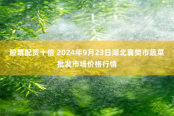 股票配资十倍 2024年9月23日湖北襄樊市蔬菜批发市场价格行情