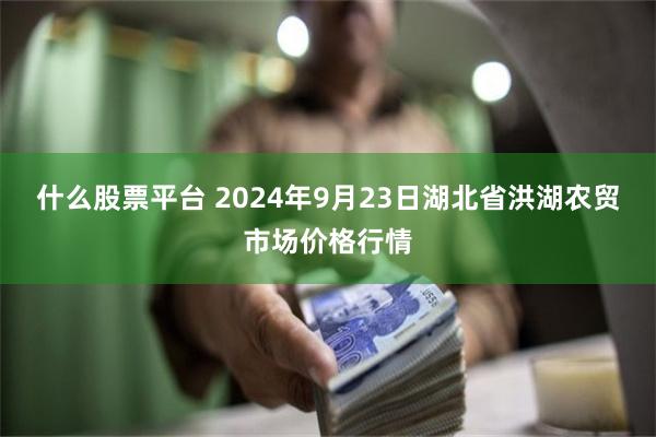 什么股票平台 2024年9月23日湖北省洪湖农贸市场价格行情