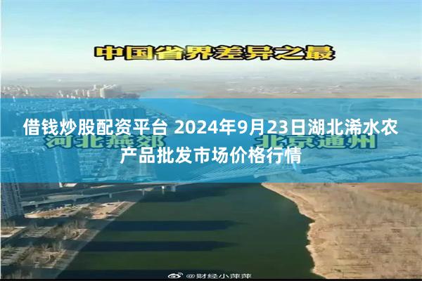 借钱炒股配资平台 2024年9月23日湖北浠水农产品批发市场价格行情