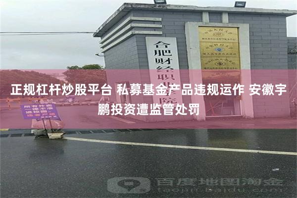 正规杠杆炒股平台 私募基金产品违规运作 安徽宇鹏投资遭监管处罚