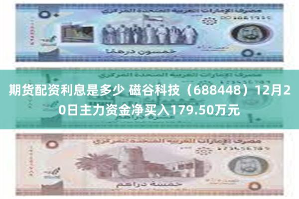 期货配资利息是多少 磁谷科技（688448）12月20日主力资金净买入179.50万元