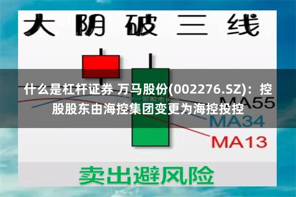 什么是杠杆证券 万马股份(002276.SZ)：控股股东由海控集团变更为海控投控