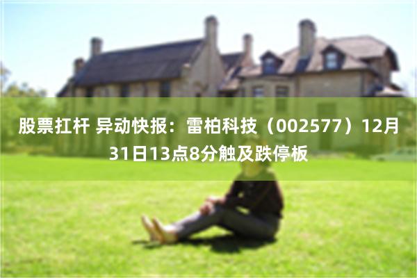 股票扛杆 异动快报：雷柏科技（002577）12月31日13点8分触及跌停板