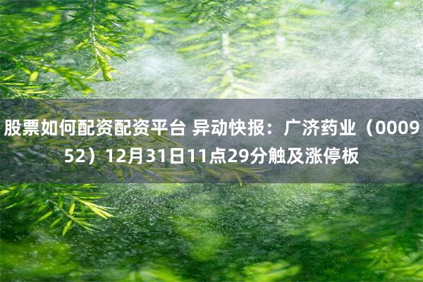 股票如何配资配资平台 异动快报：广济药业（000952）12月31日11点29分触及涨停板