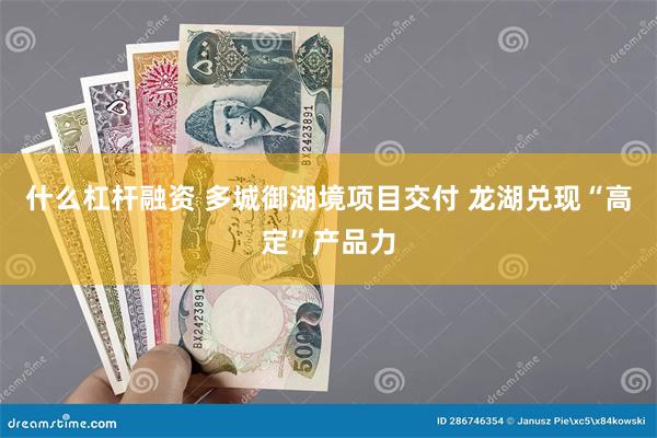 什么杠杆融资 多城御湖境项目交付 龙湖兑现“高定”产品力