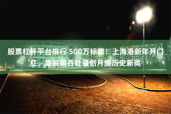 股票杠杆平台排行 500万标箱！上海港新年开门红，集装箱吞吐量创月度历史新高