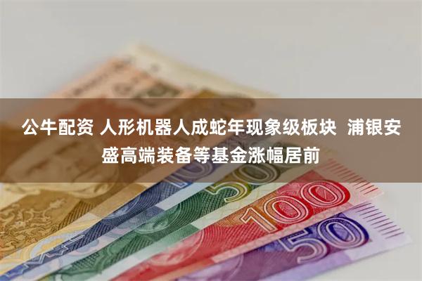 公牛配资 人形机器人成蛇年现象级板块  浦银安盛高端装备等基金涨幅居前