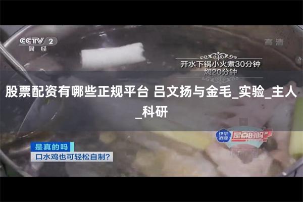 股票配资有哪些正规平台 吕文扬与金毛_实验_主人_科研
