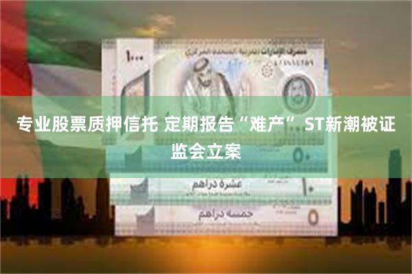 专业股票质押信托 定期报告“难产” ST新潮被证监会立案