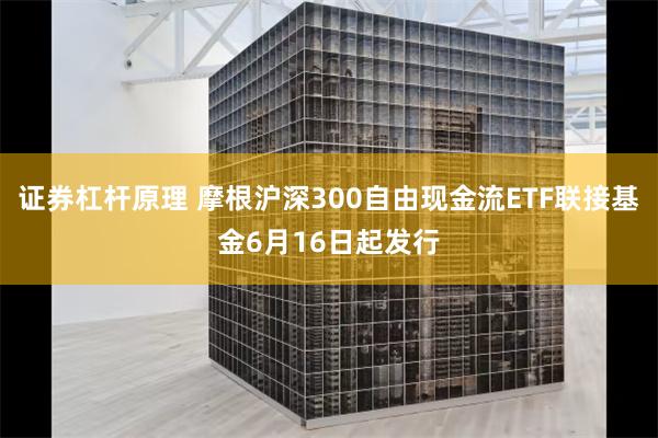 证券杠杆原理 摩根沪深300自由现金流ETF联接基金6月16日起发行