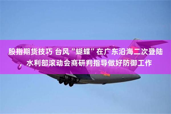 股指期货技巧 台风“蝴蝶”在广东沿海二次登陆，水利部滚动会商研判指导做好防御工作