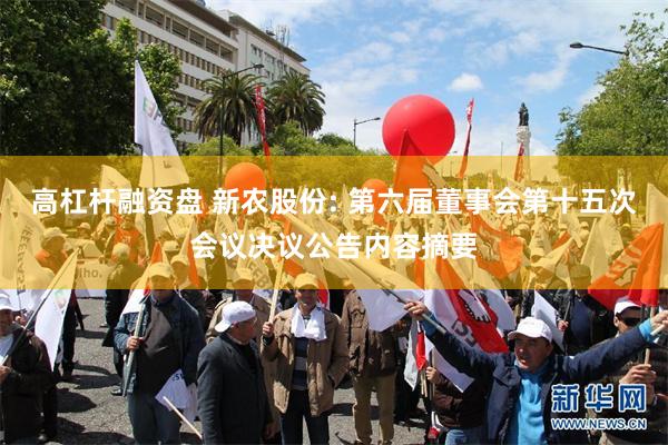 高杠杆融资盘 新农股份: 第六届董事会第十五次会议决议公告内容摘要
